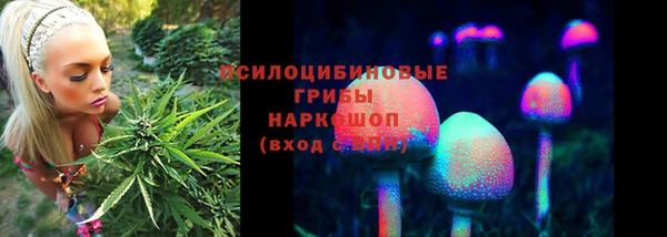 амфетамин Новозыбков