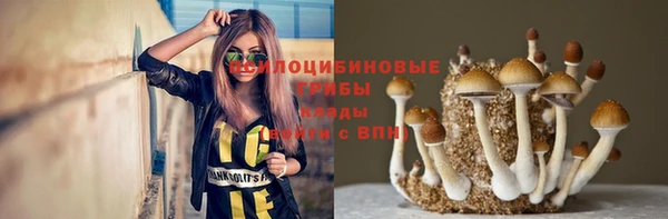 герыч Новодвинск