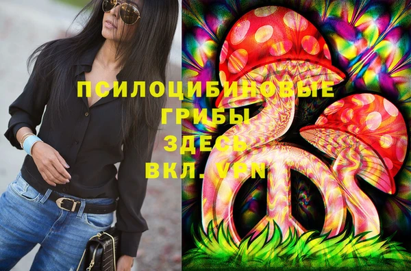 МДПВ Вязники