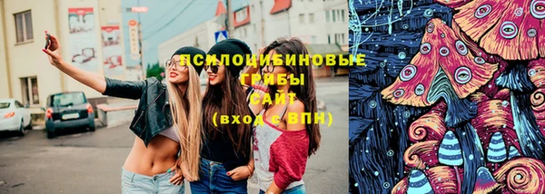 герыч Новодвинск
