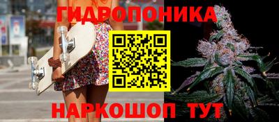 спайс Кинель