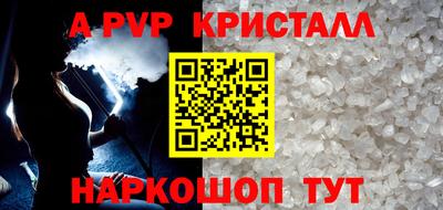 a pvp Кингисепп