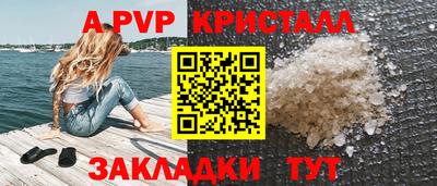 a pvp Кингисепп