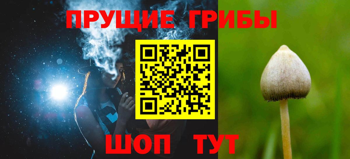 Галлюциногенные грибы Magic Shrooms  Псилоцибиновые грибы ЛСД  Вход с VPN  Советский 